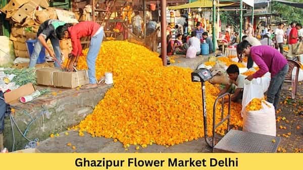 Ghazipur Flower Market Delhi